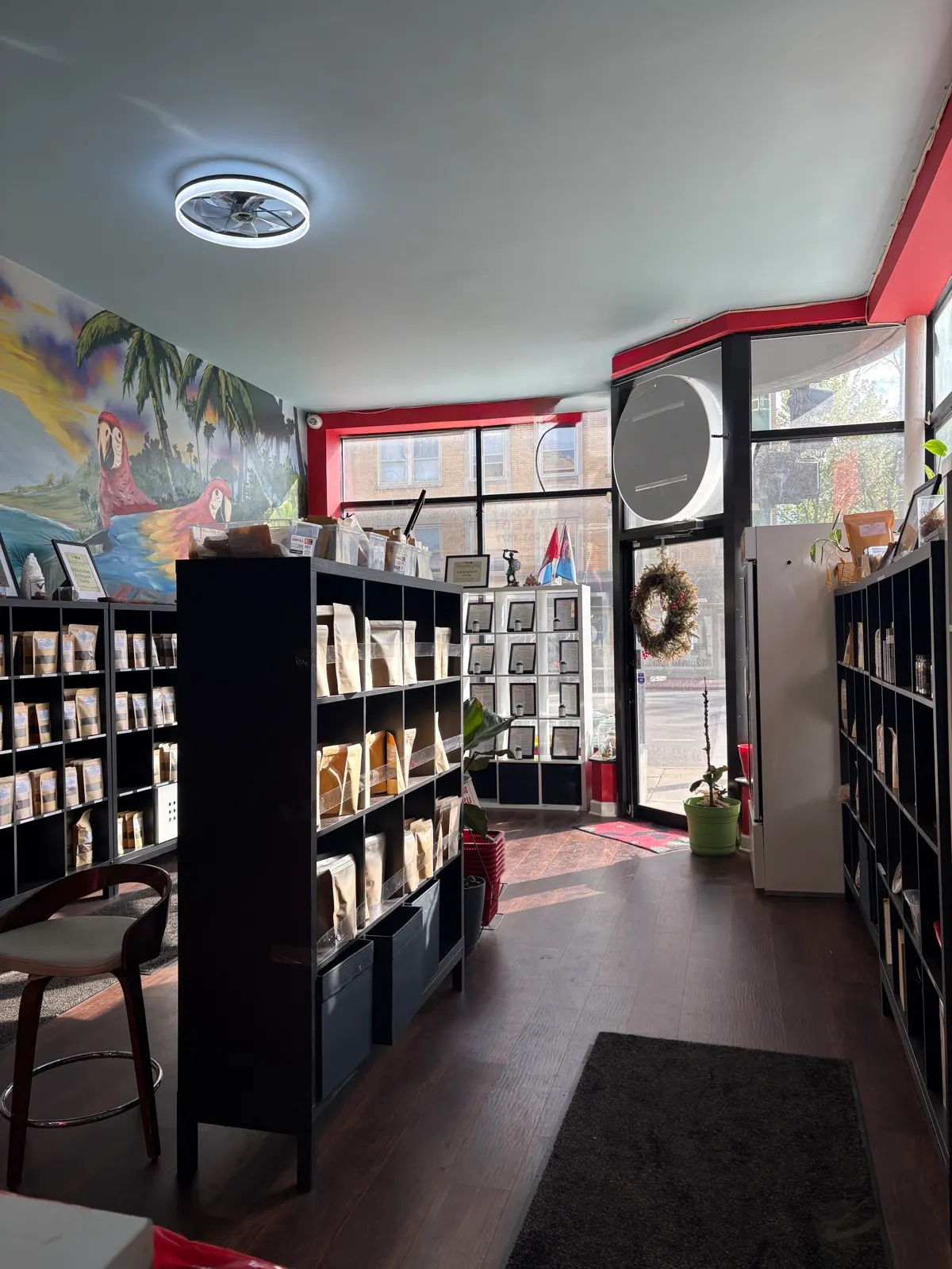 Inside our Chicago herb shop, shelves of herbs and the storefront in Chicago
